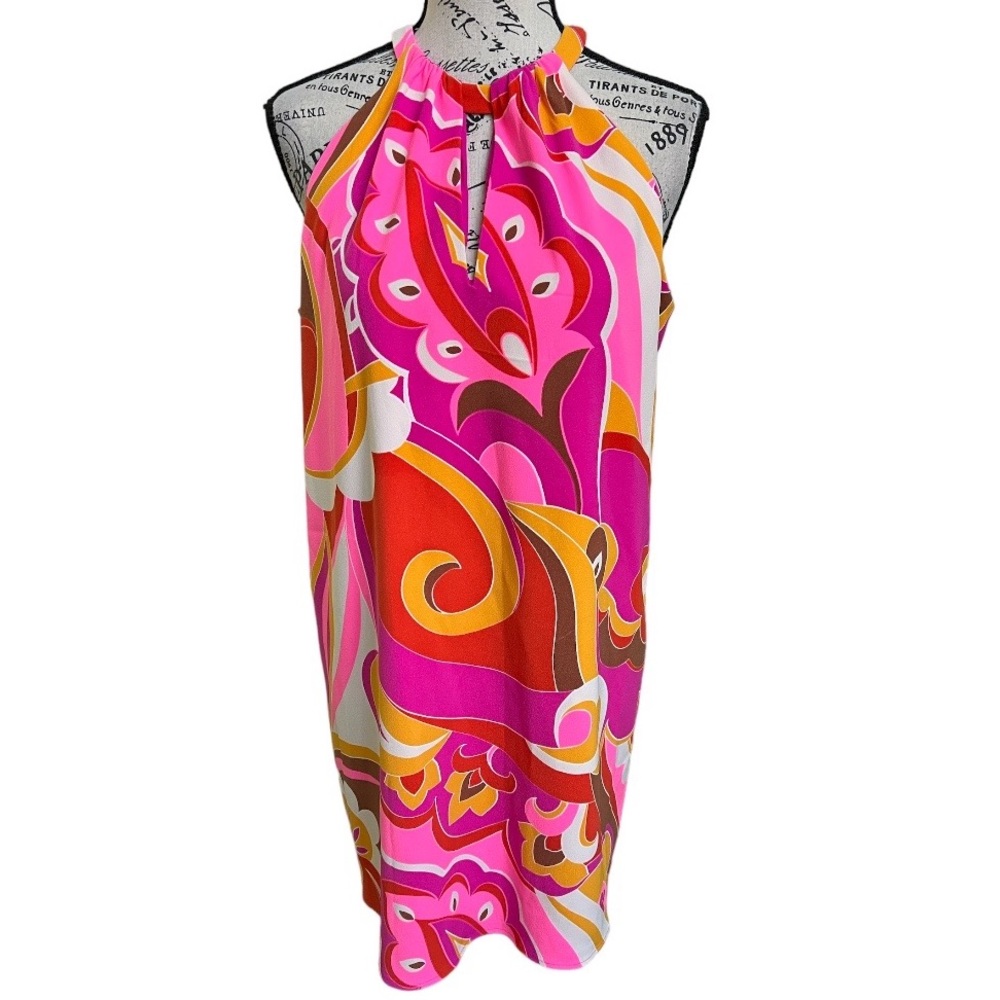 Express Dress - Picture 8 of 15